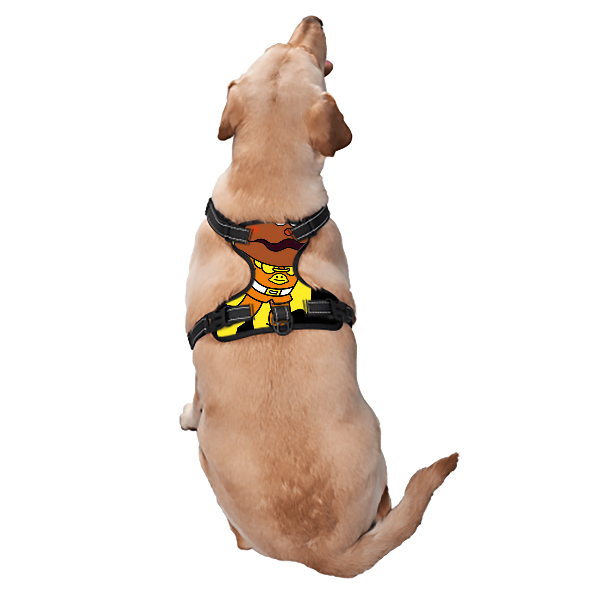 （画像用） アンパンマン Anpanman ペット用ハーネス